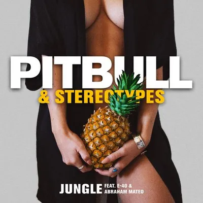 Jungle 專輯封面