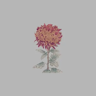ブルーベリージャム 專輯封面