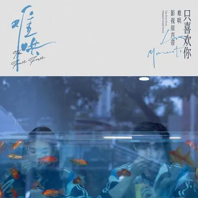 電視劇《難哄》影視原聲帶·只喜歡你Love Moments
