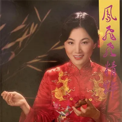 鳳飛飛精粹