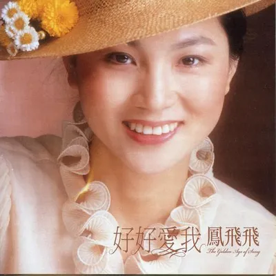 好好愛我 (2009年Remix版) 專輯封面