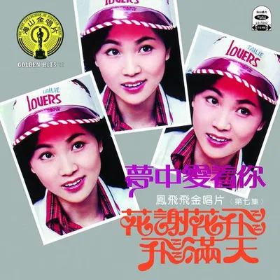 夢中愛著你