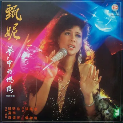 夢中的媽媽